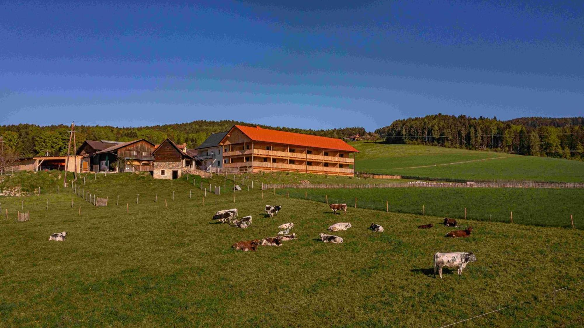 Pircherhof - Adults Only Am Biobauernhof Poellau Esterno foto